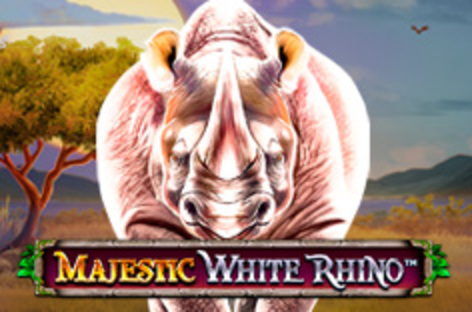 Majestic White Rhino